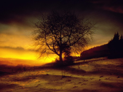 30484 (a): :1600x1200